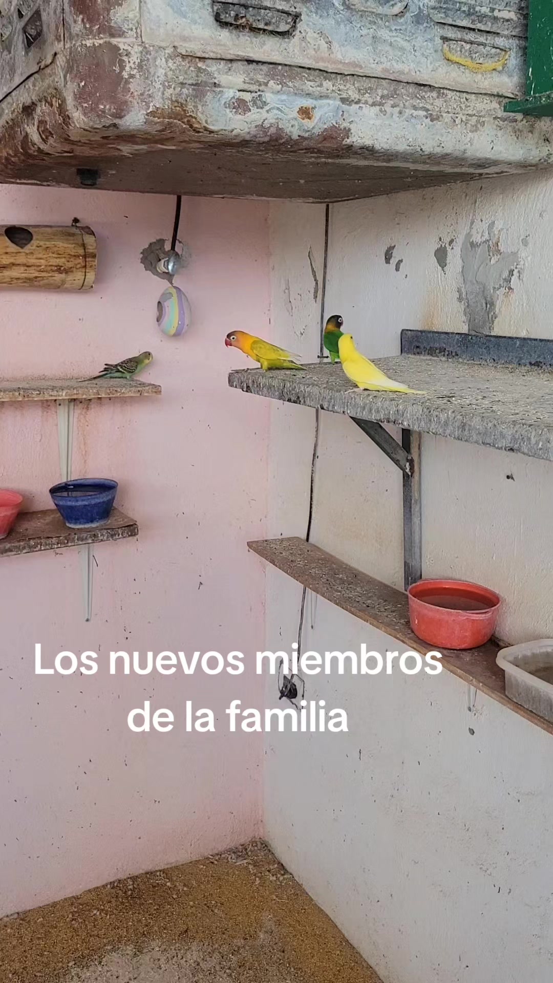 @Oscar Guevara