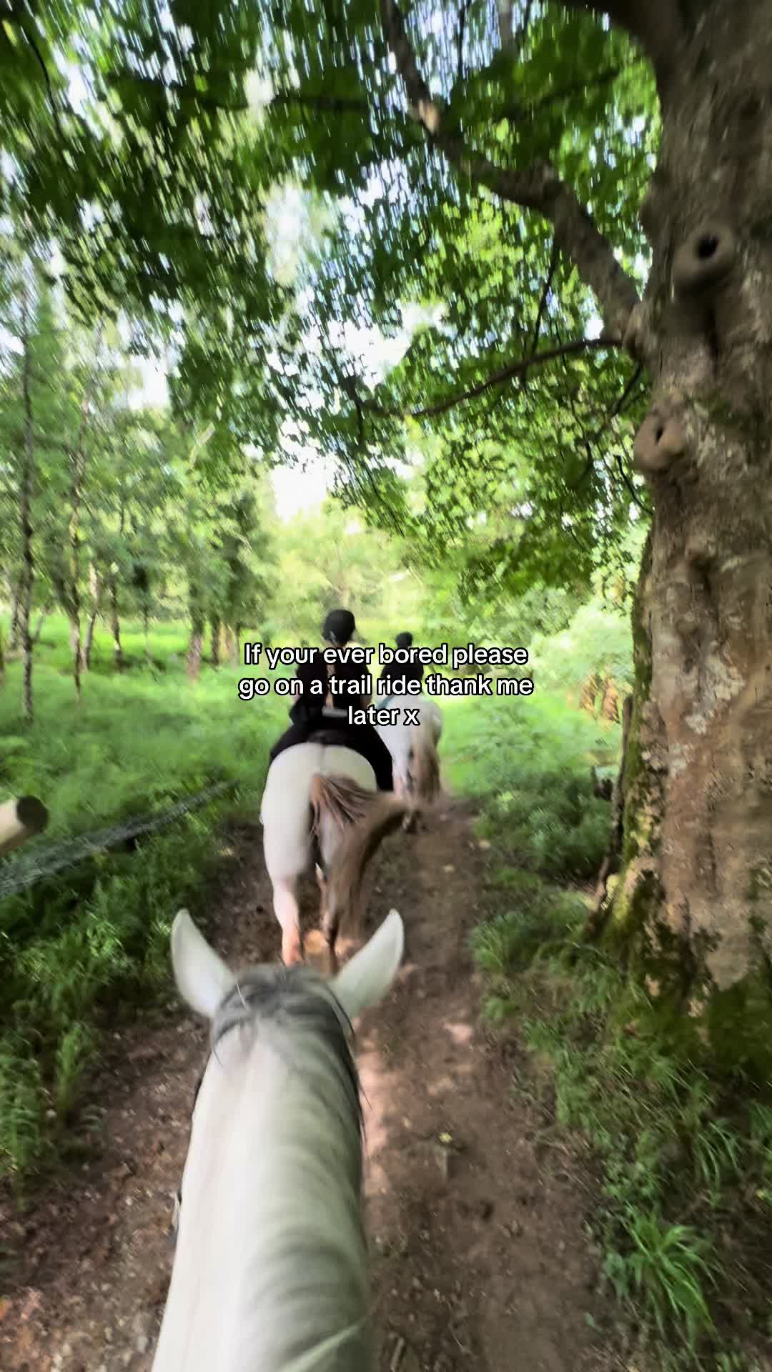 @JP