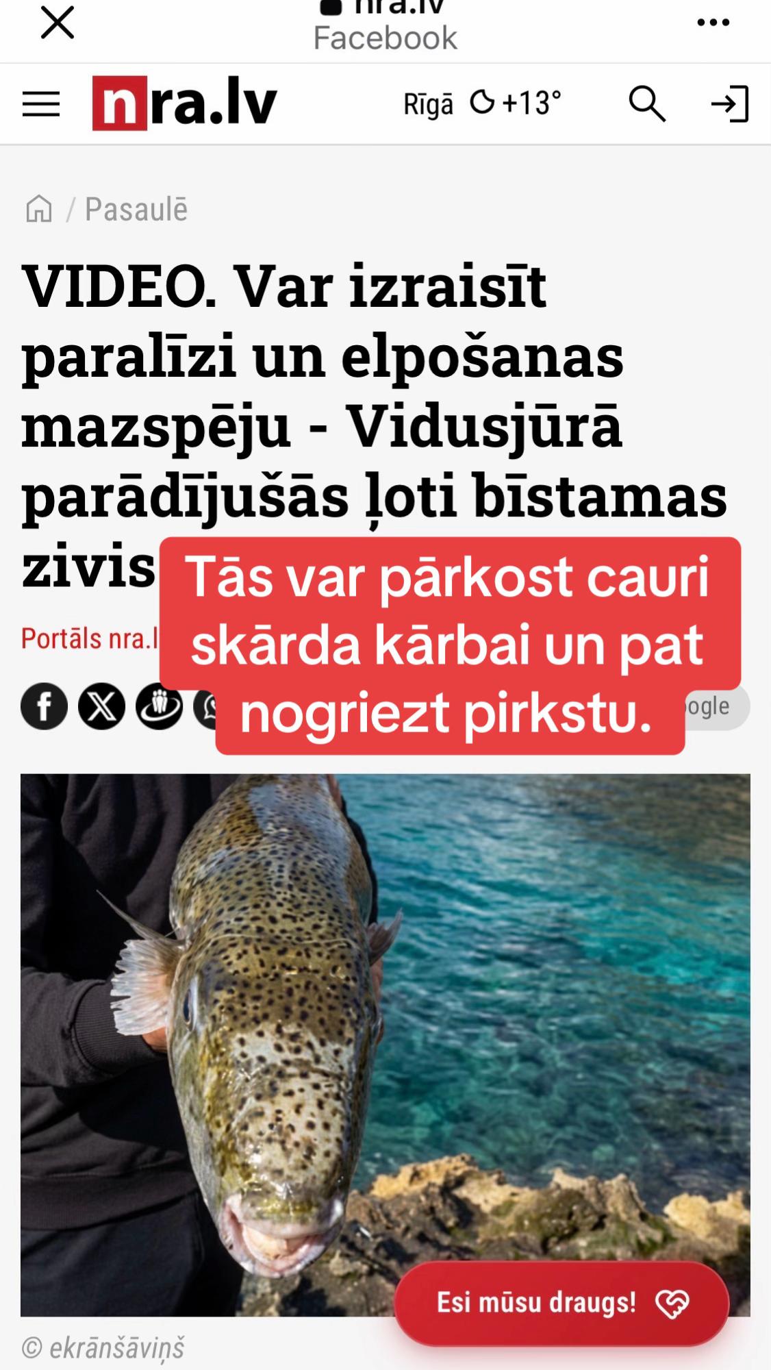 @NORMUNDS ROZEN&Scaron;TEINS