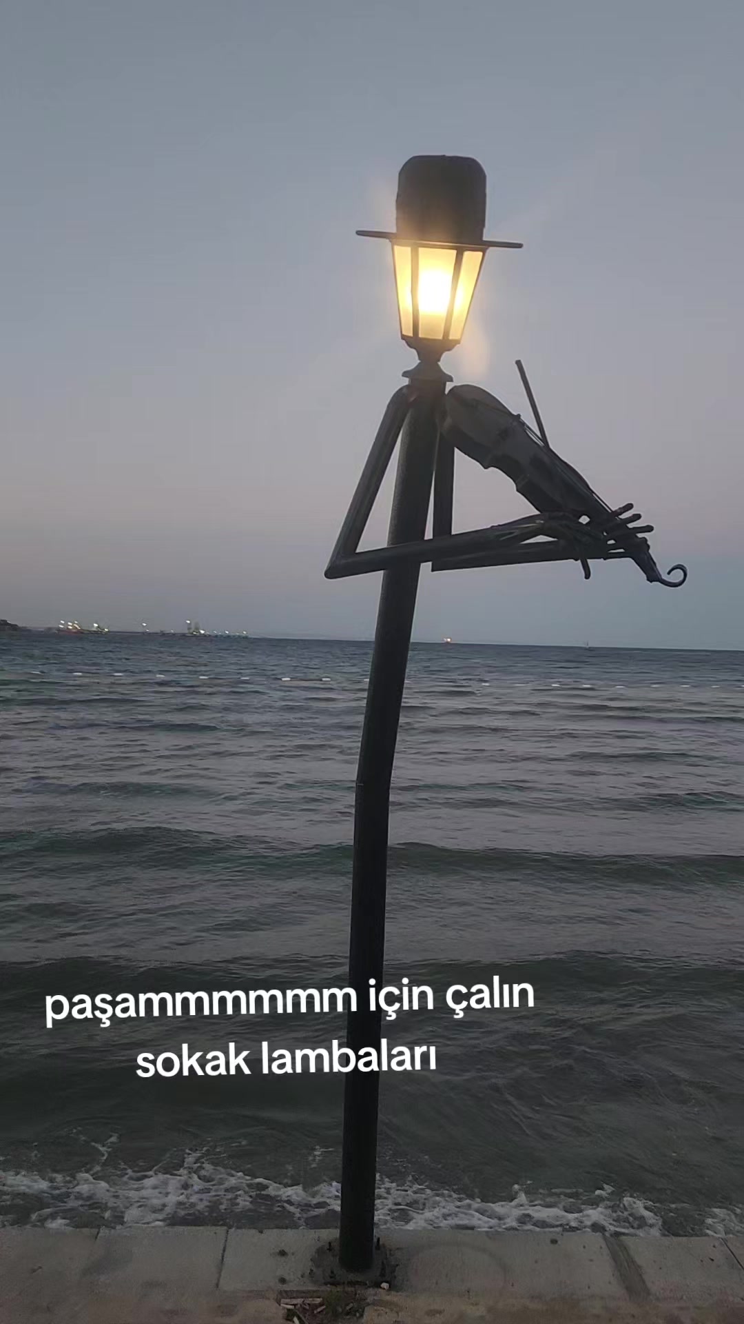 @babasının paşası