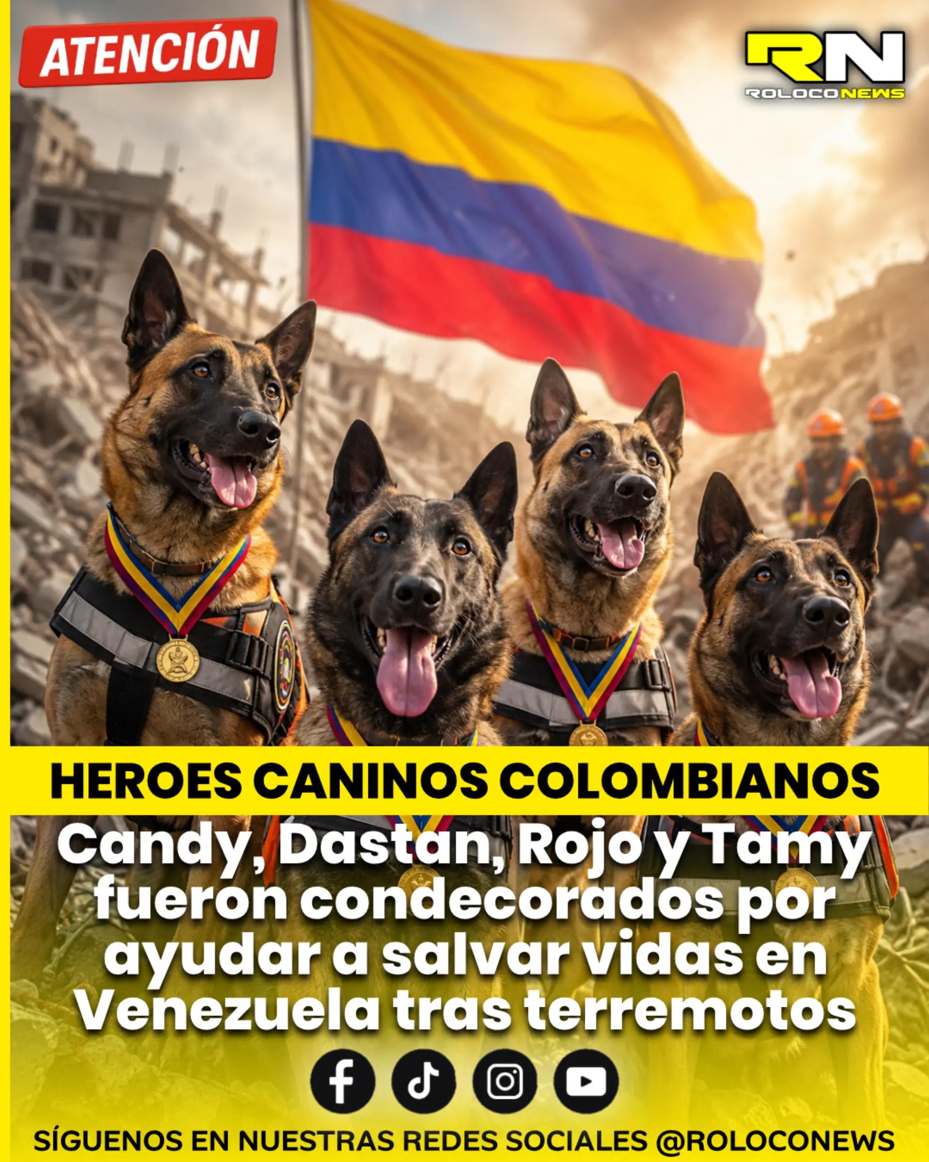 @Roloco News