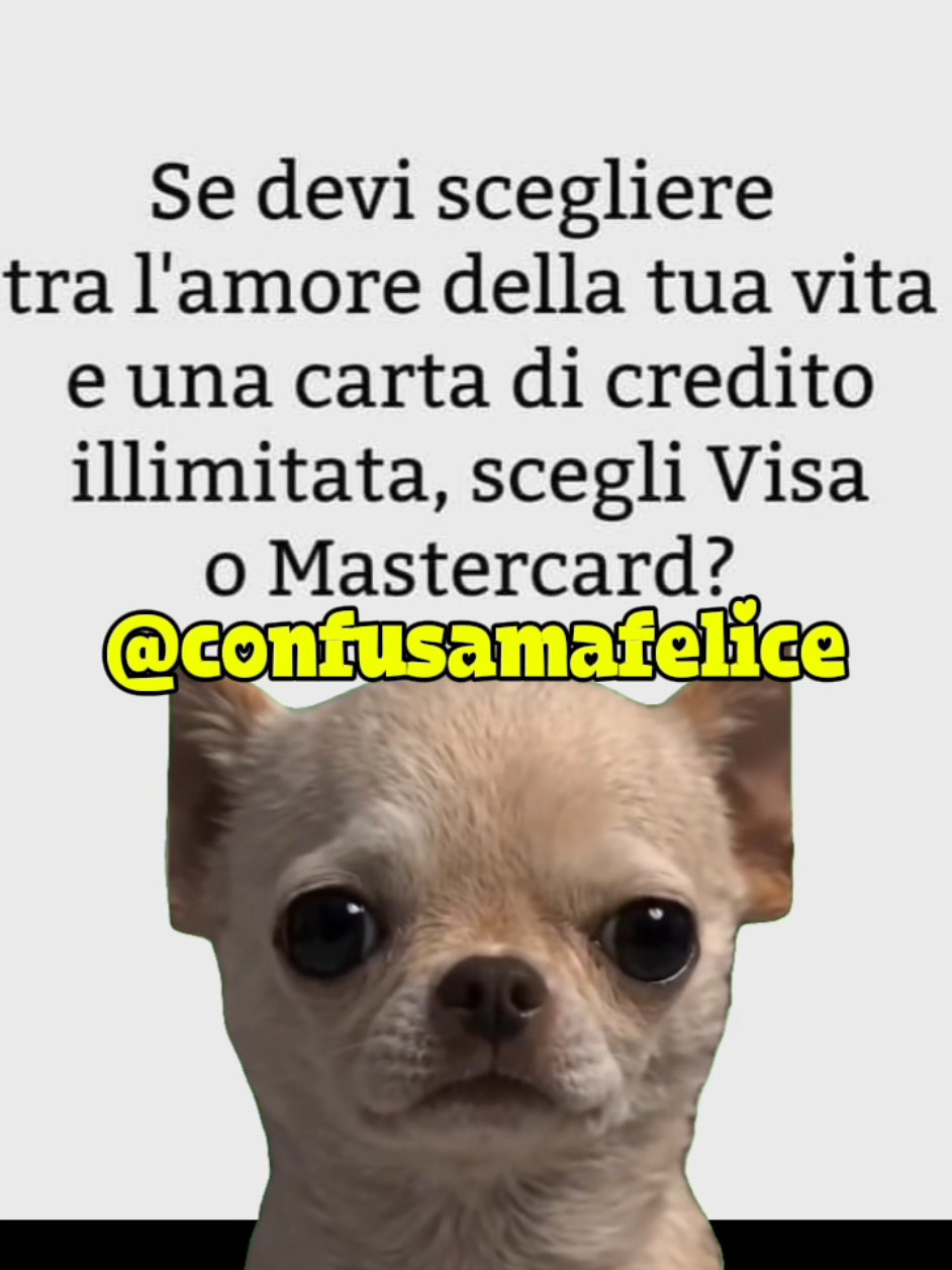 @confusamafelice