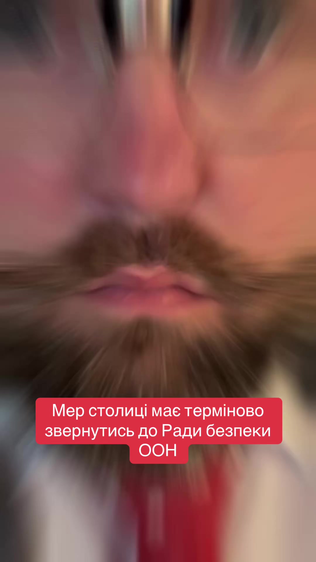 @BanderaNews