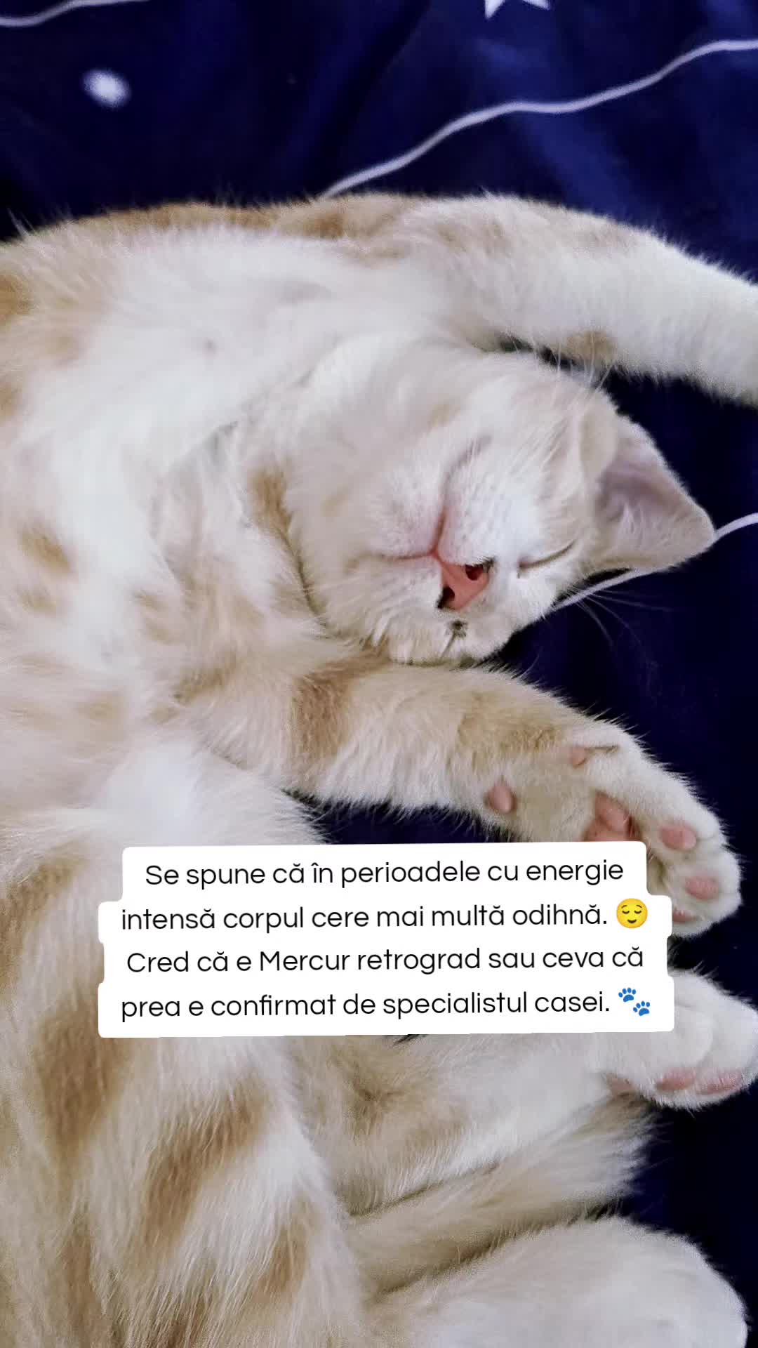 @Roxana Maria Baciu | Psiholog