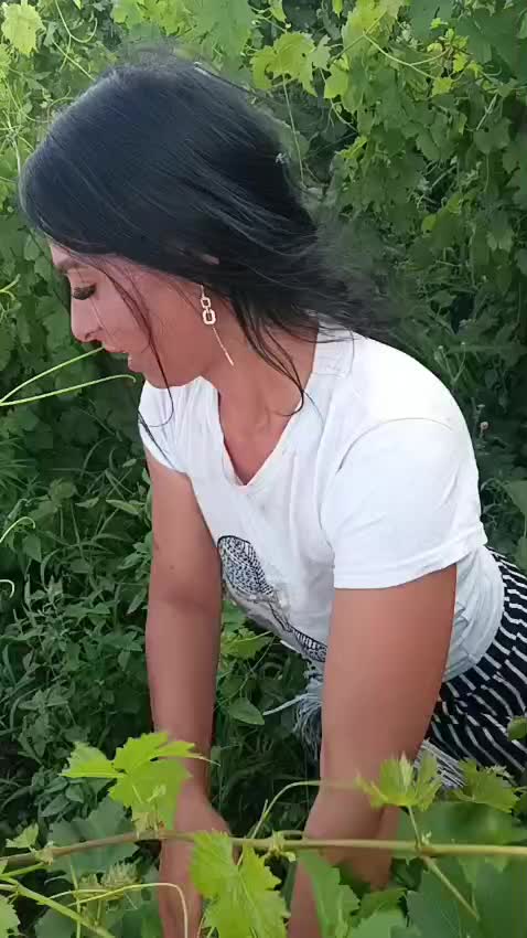 @covaci elena