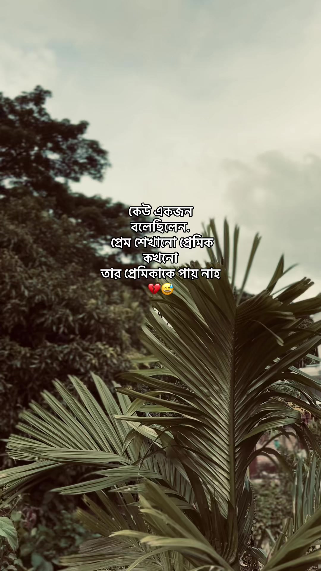 @S  i  F  a  T 🕸️🕊️