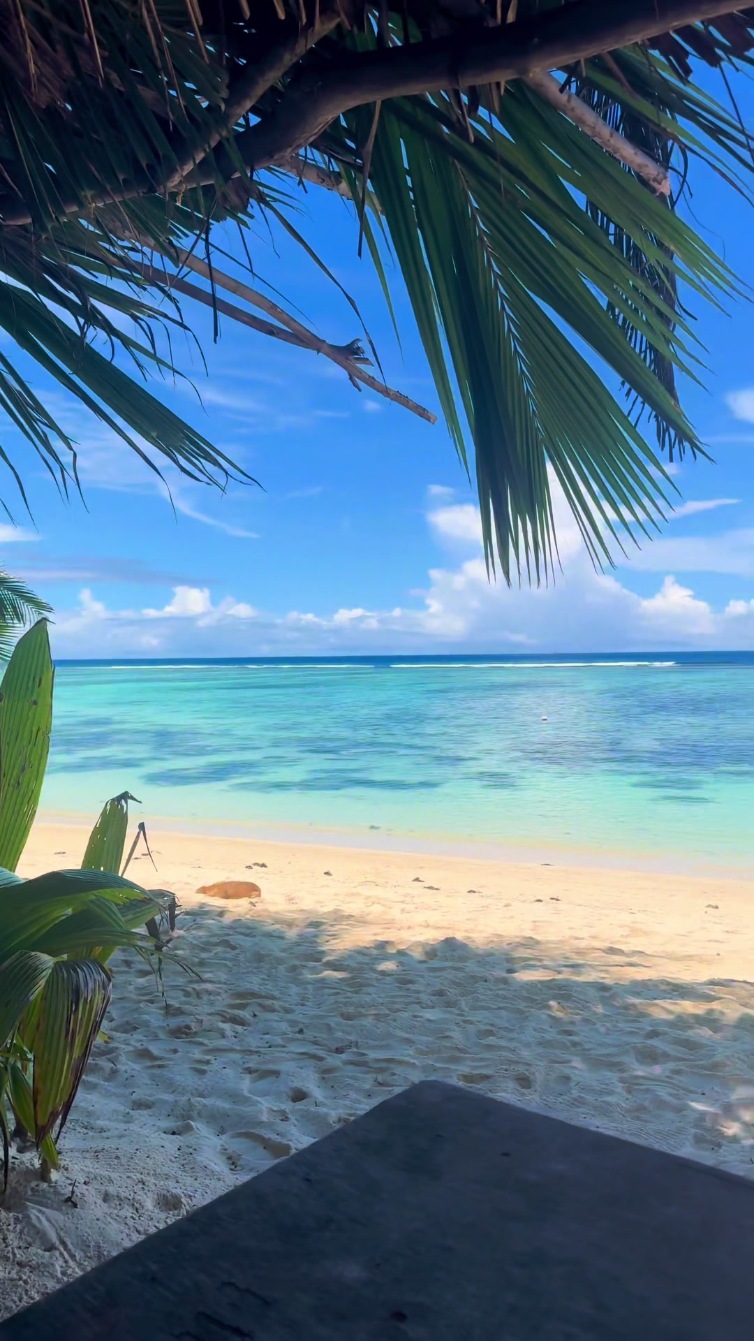 @𝕋𝕚𝕟𝕜𝕖𝕣𝕓𝕖𝕝𝕝 🧚🏝️