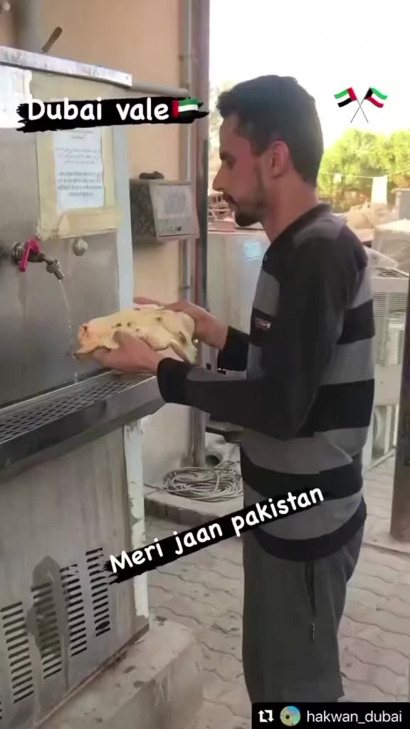 @shanmughal331