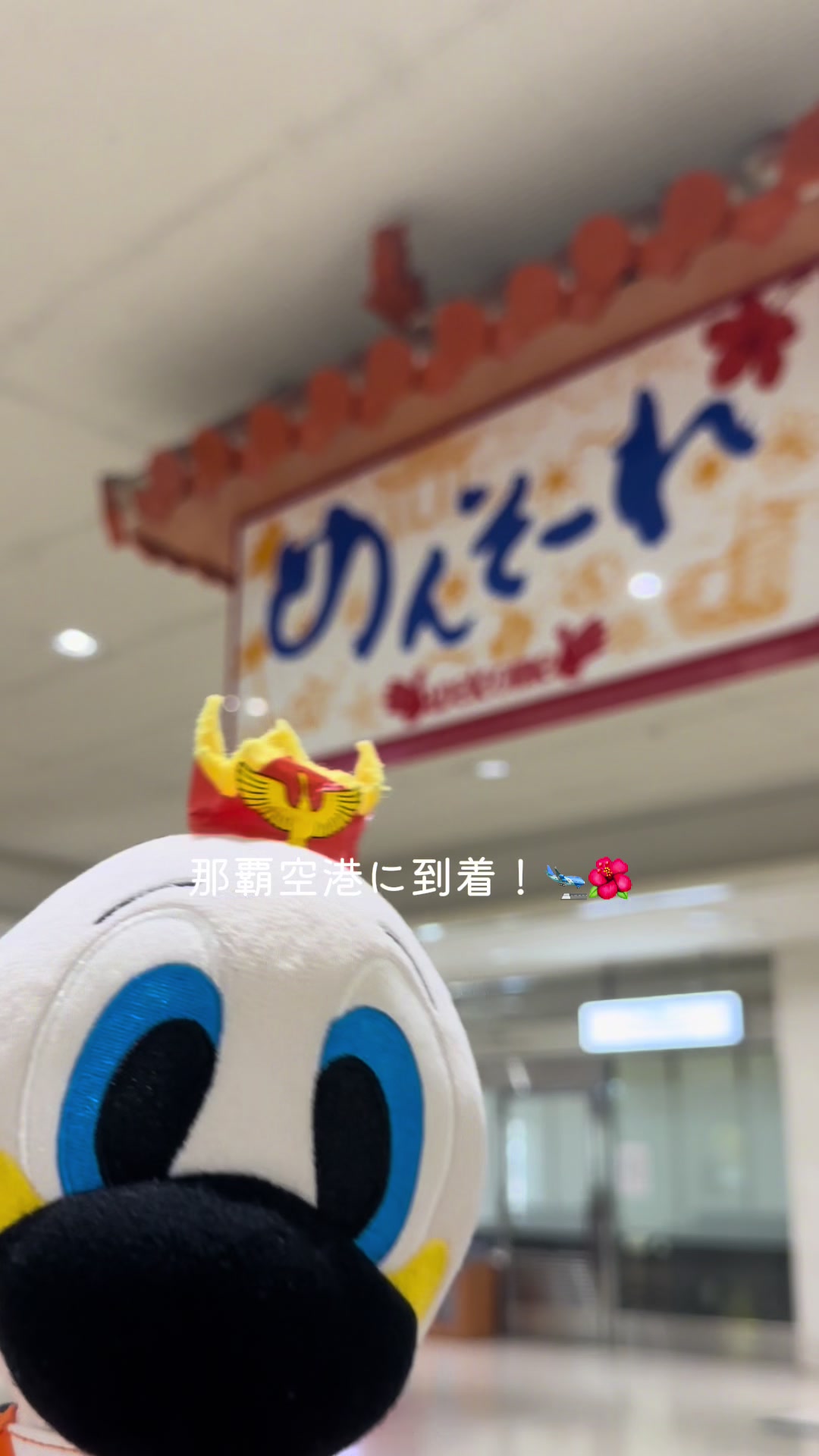 @アルビレックス新潟【公式】