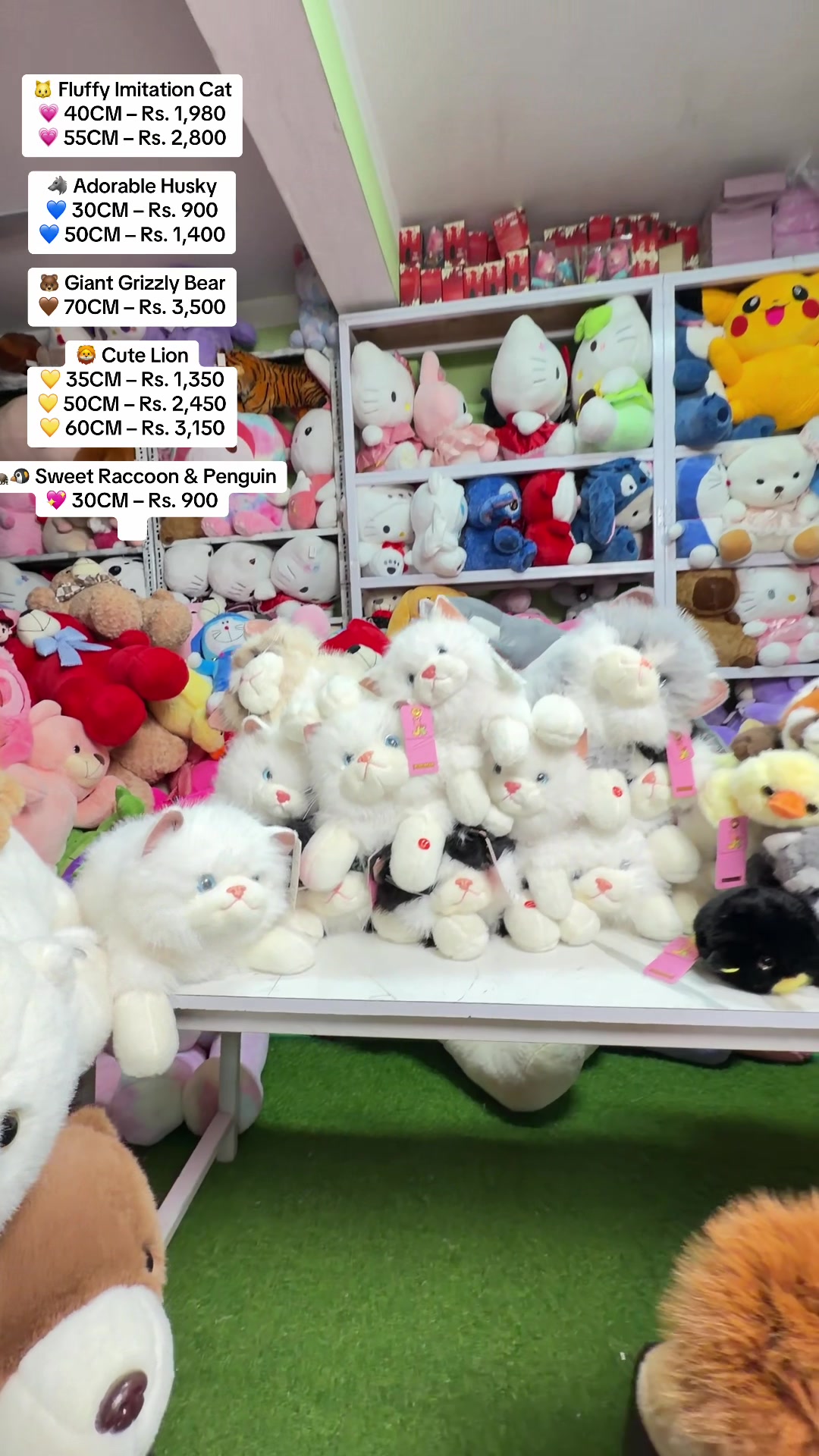 @Dollmandu.np