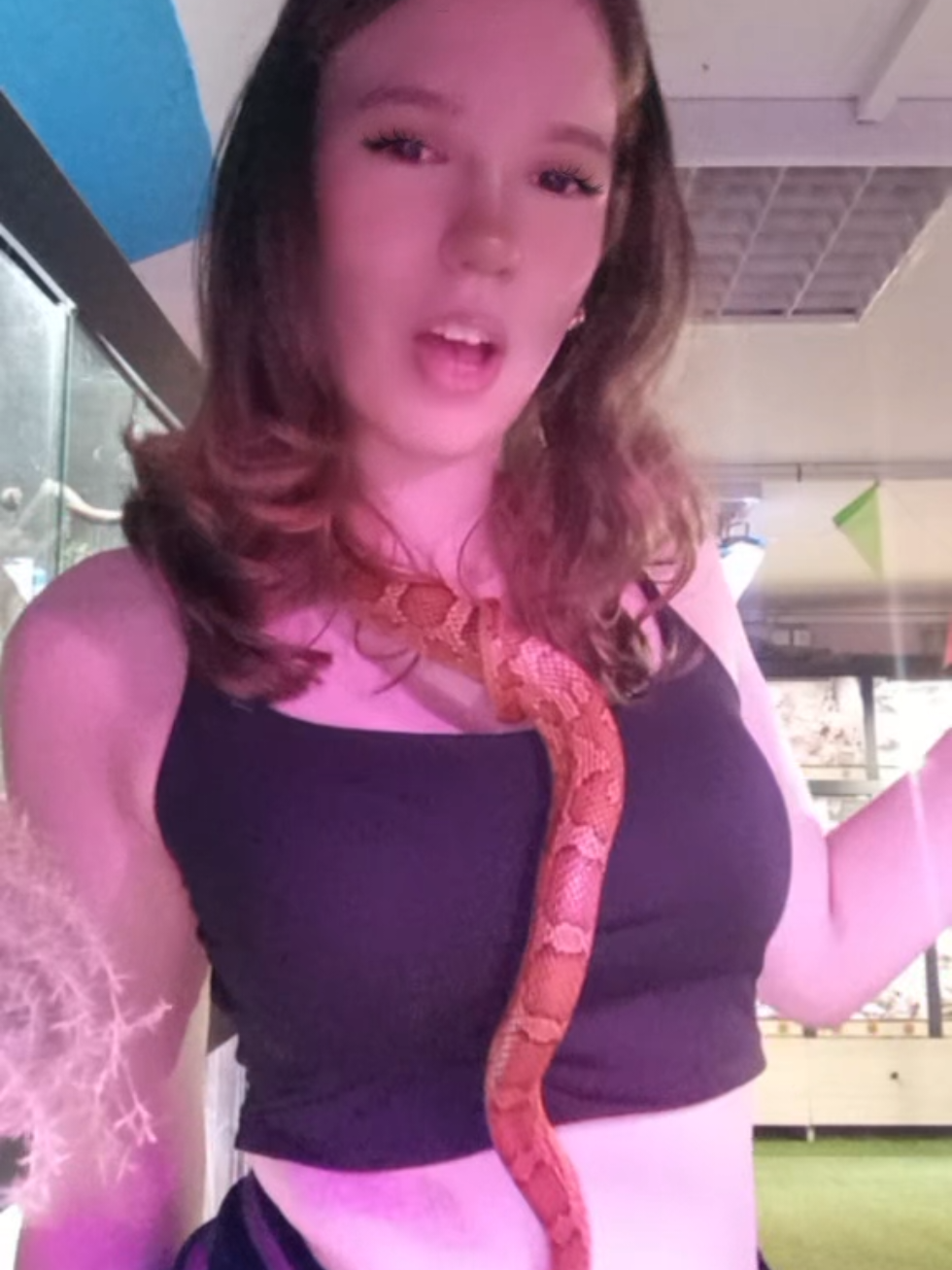 @🐍 𝙕𝙢𝙞𝙟𝙖 🐍