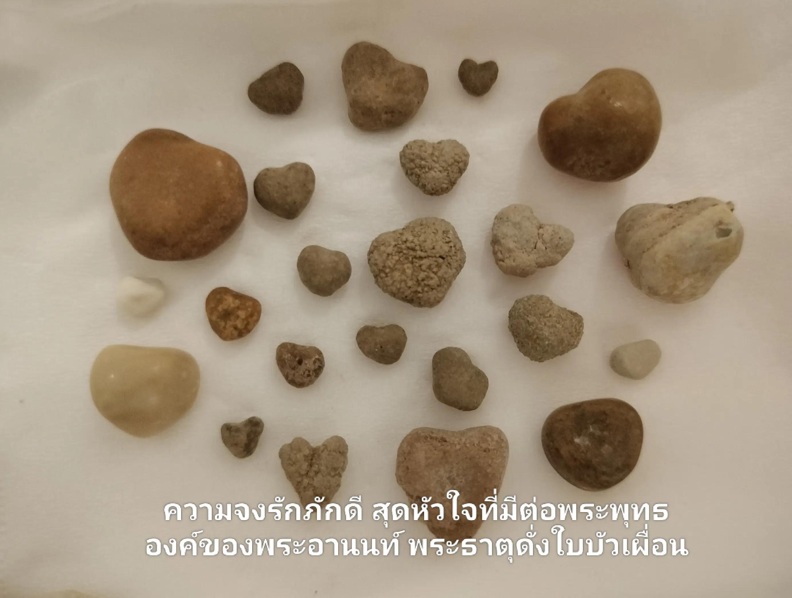 @ชมรมรักษ์พระบรมธาตุฯ