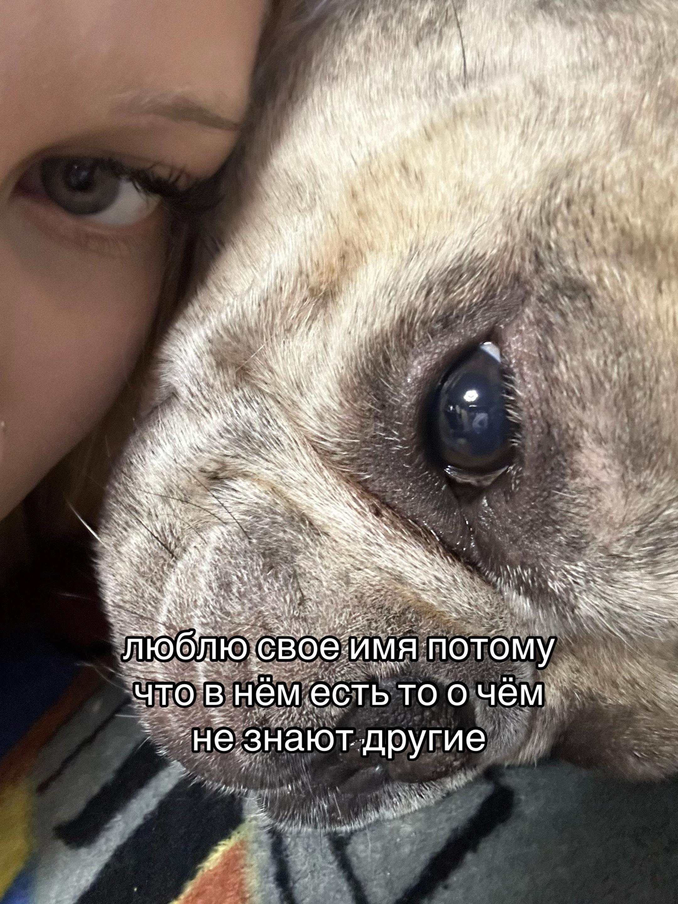@тгк lillvsllldeqw