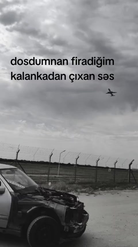 @▄︻デ𝒊𝒃𝒐𝒐══━一