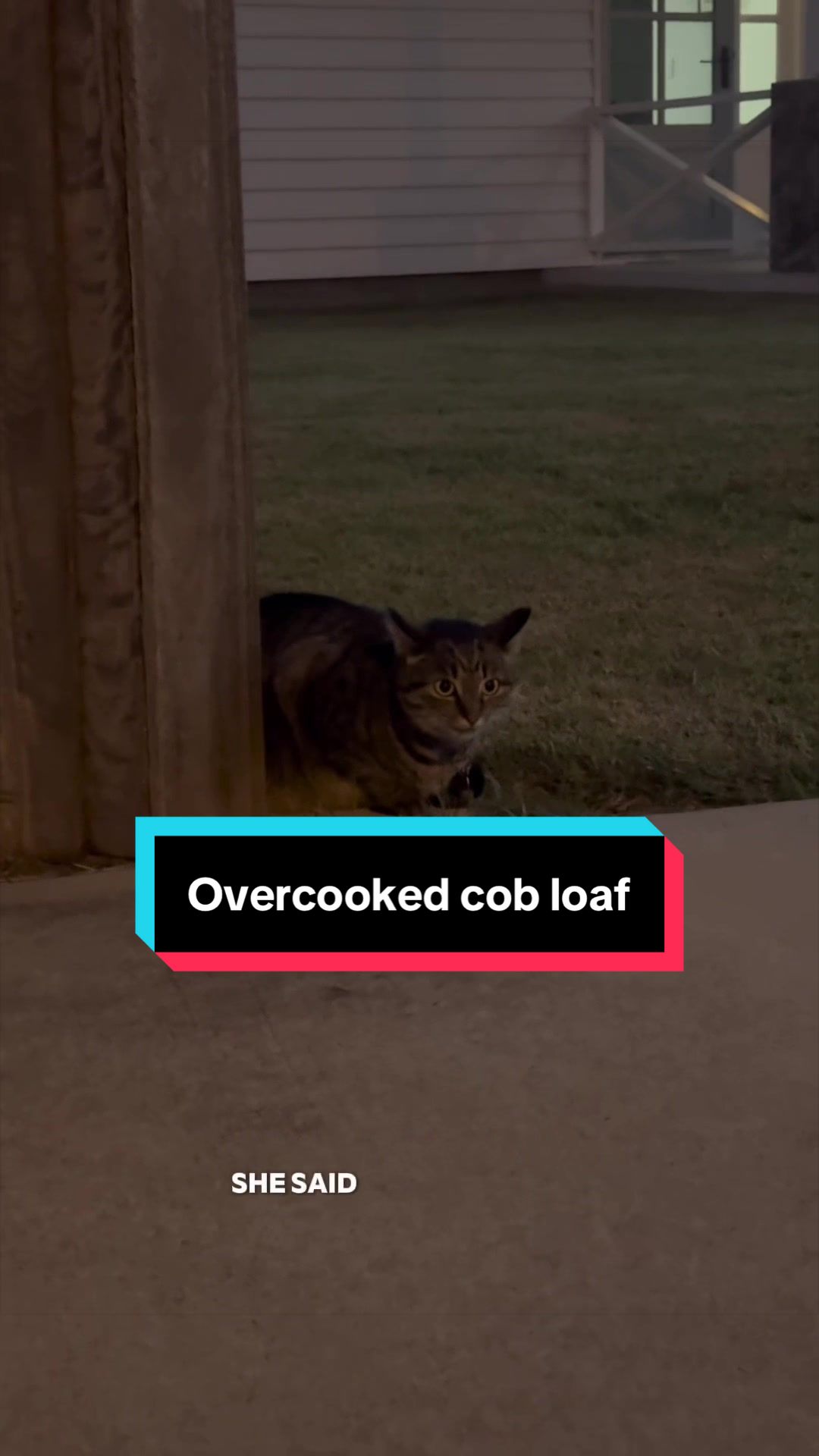 @Skeeter The Bengal