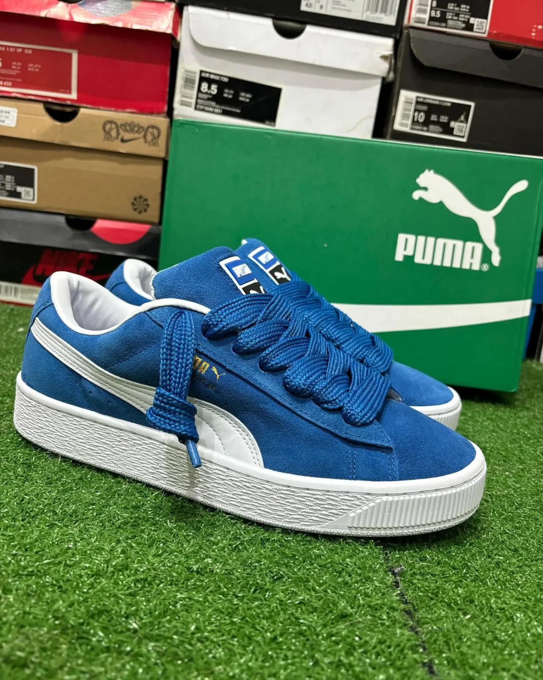 @Monarchy Sneakers