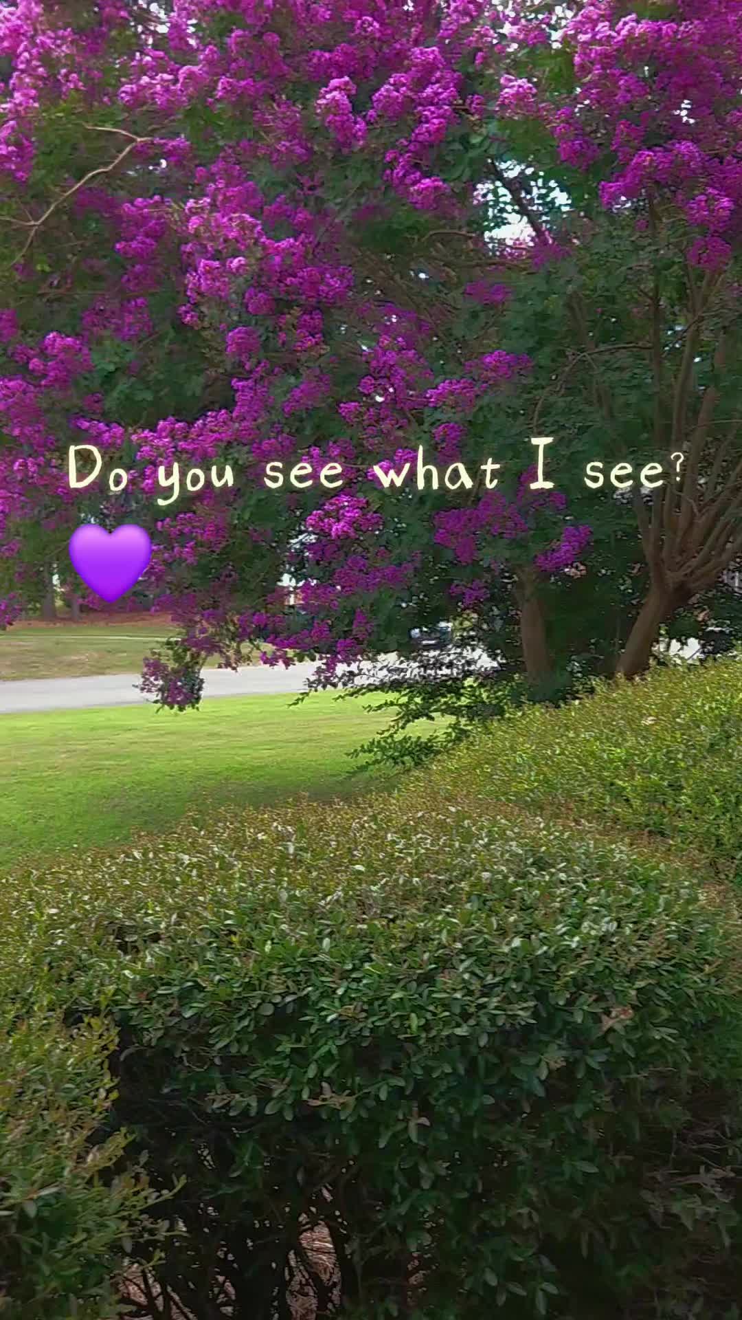 @Mimi Carol
