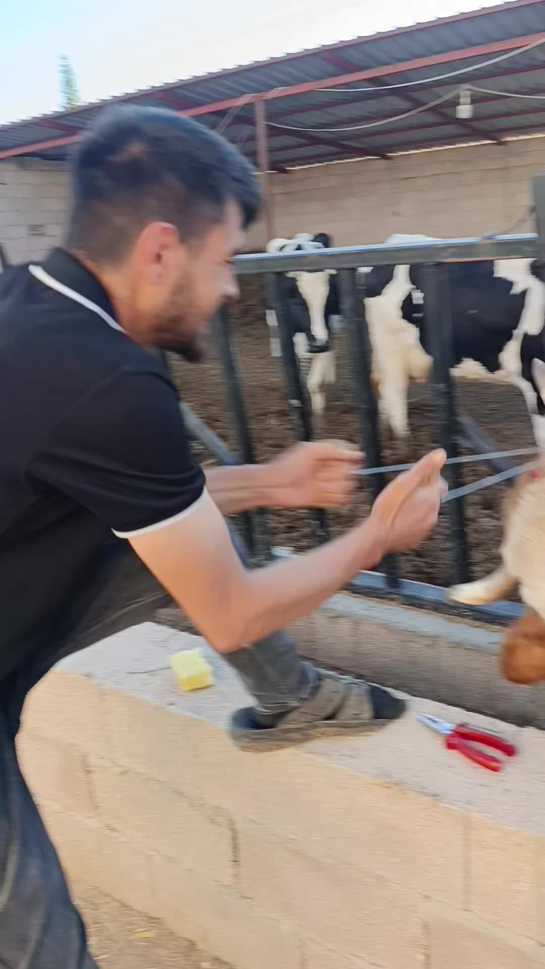@&Ouml;mer 51