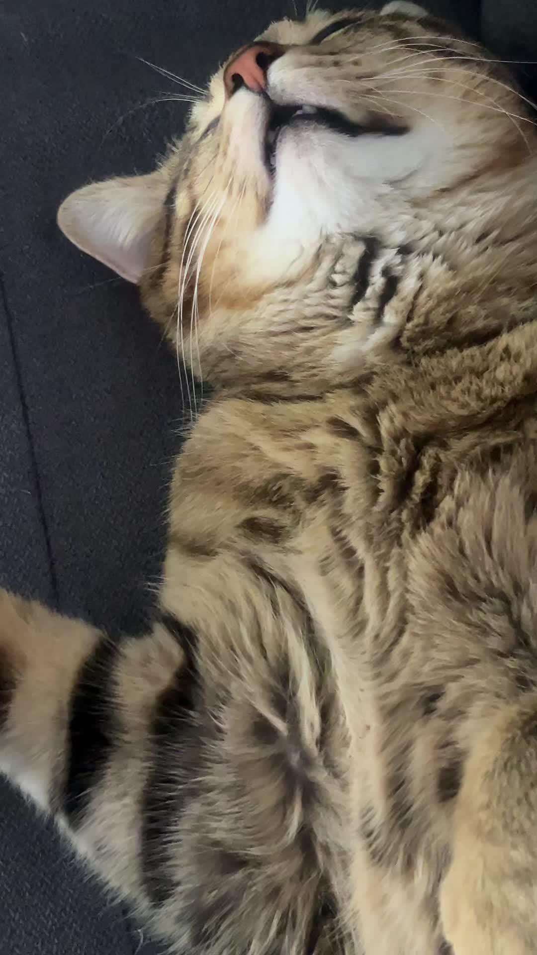 @❤️❤️❤️
