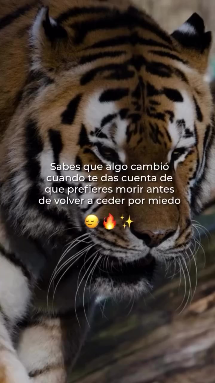 @Tatiana Ramirez