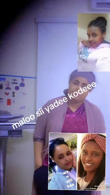 @senaa salalee