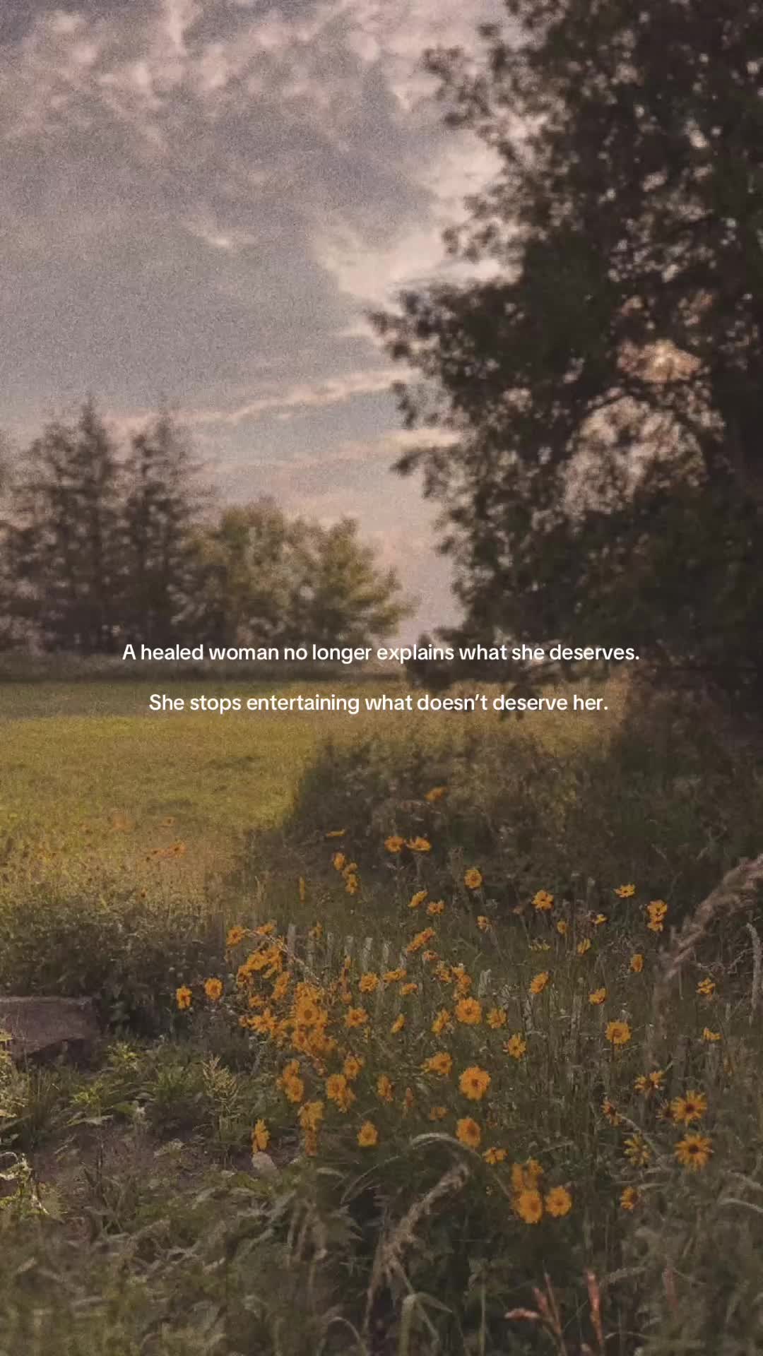 @tera 🍯 🐝