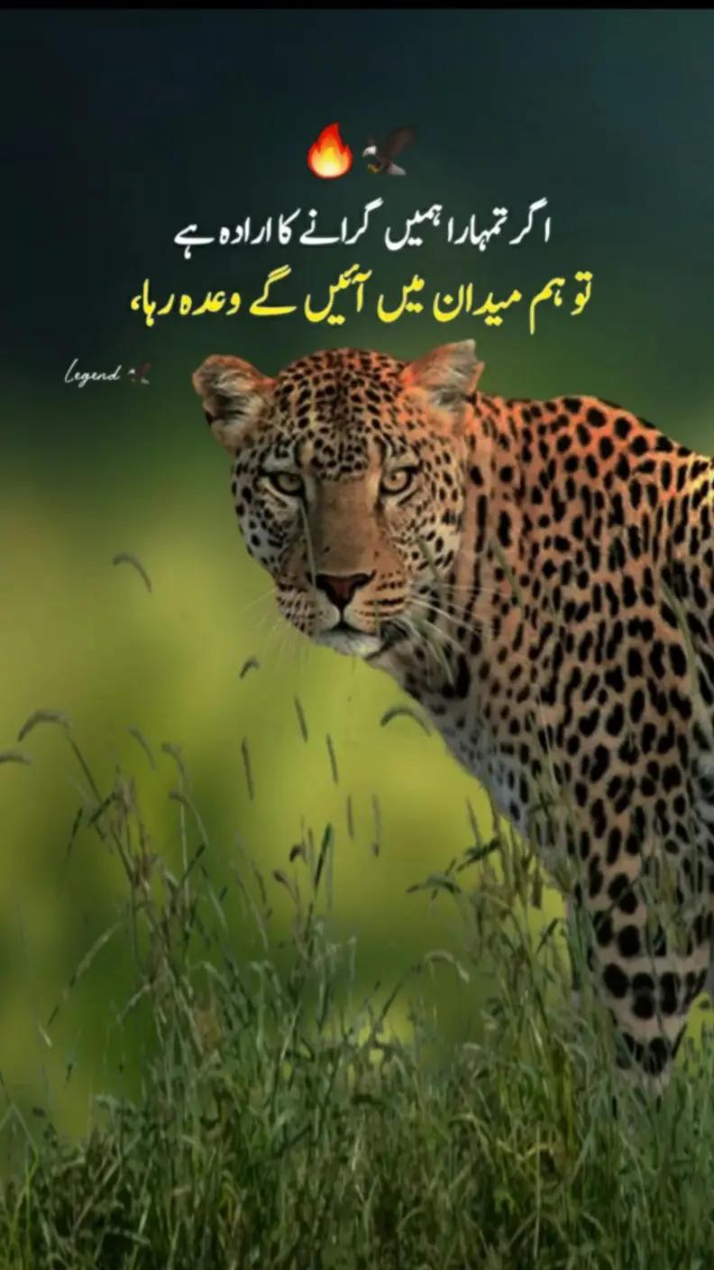 @Samundar khan