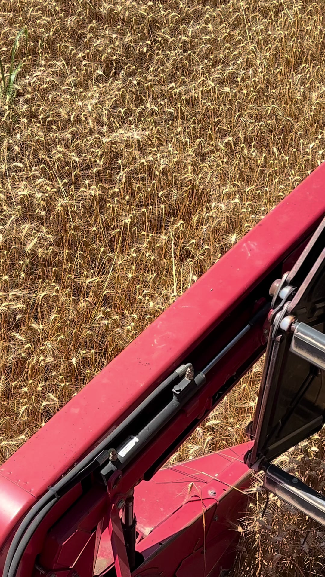 @AgroTradeAlbania