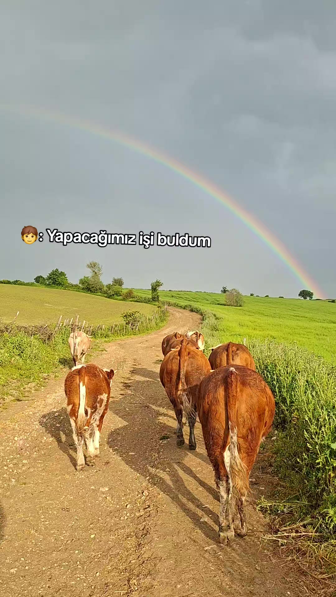 @Aytekin Yilmaz
