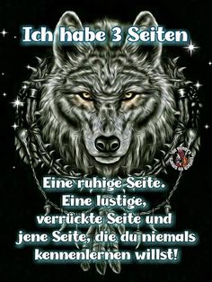 @Wolf Odins