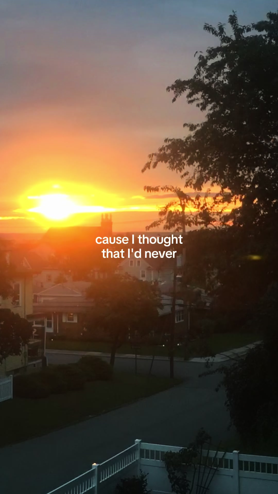 @TinySuburbanFarm