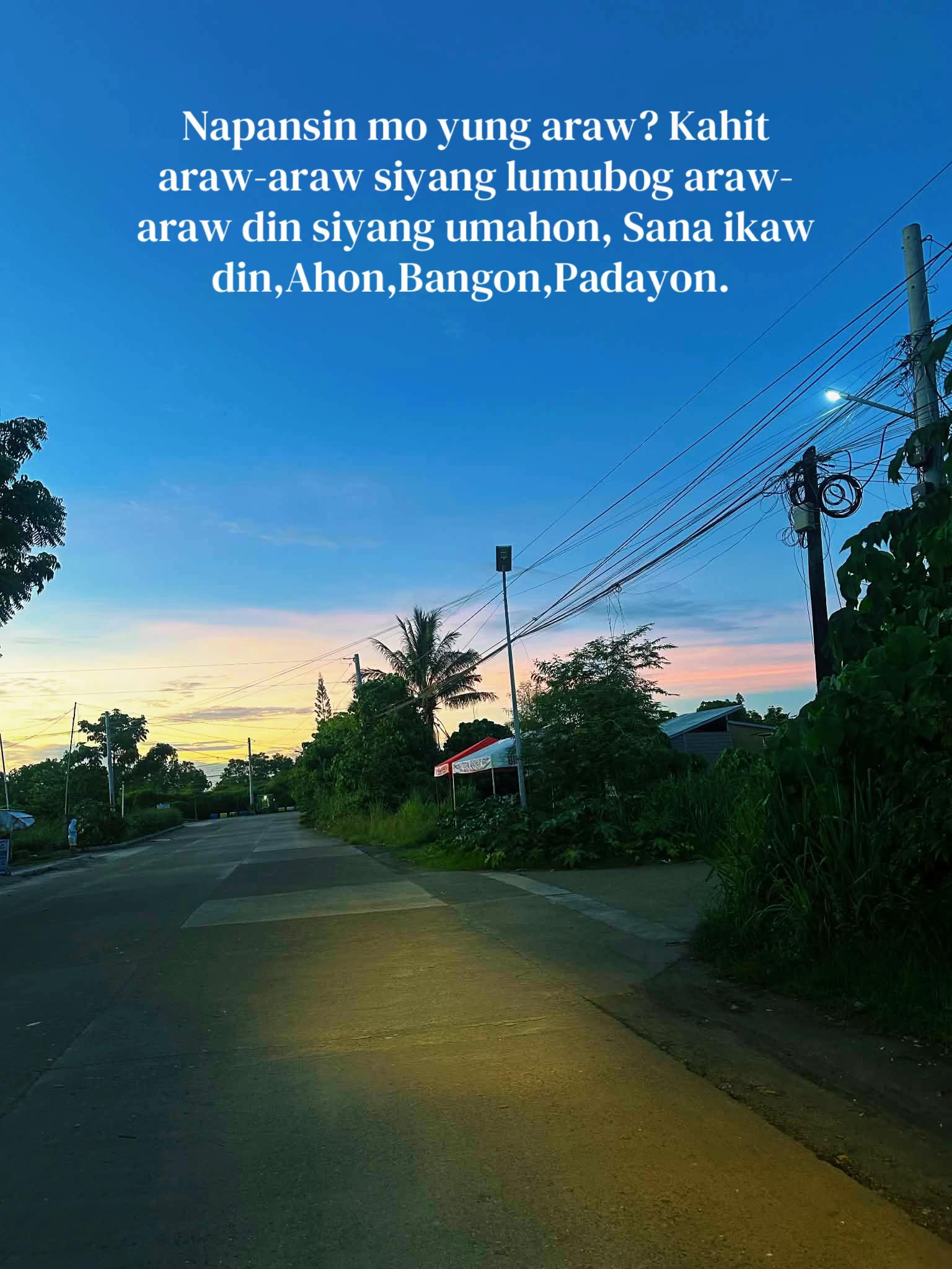 @Cille