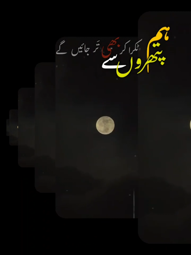 @Sawaira Naaz