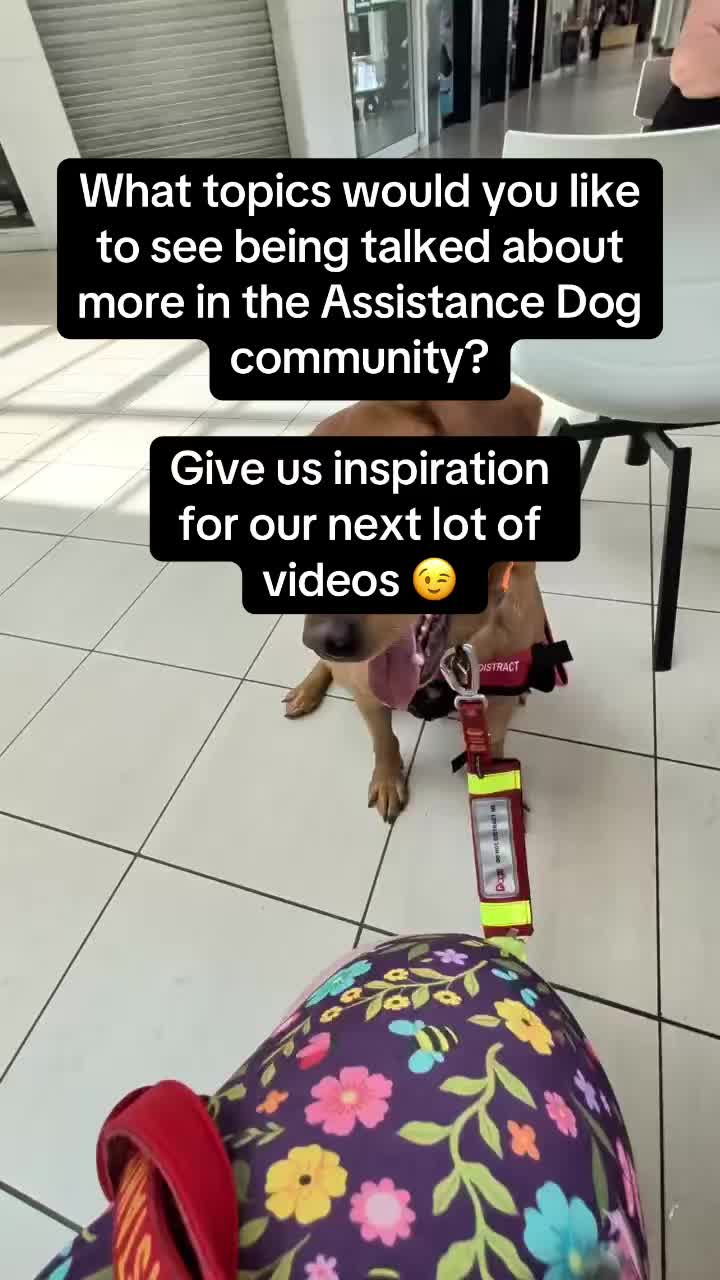 @Infinity Dogs CIC