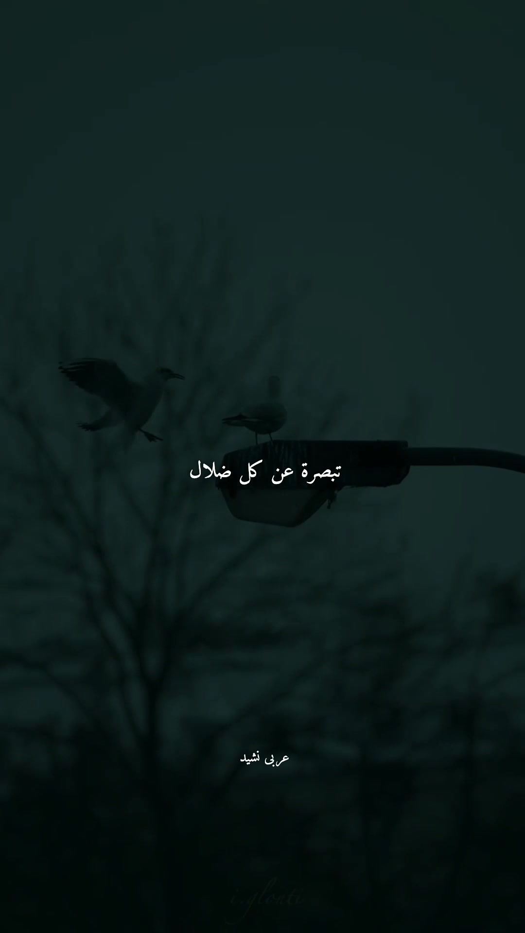 @Arabic Nasheed.!