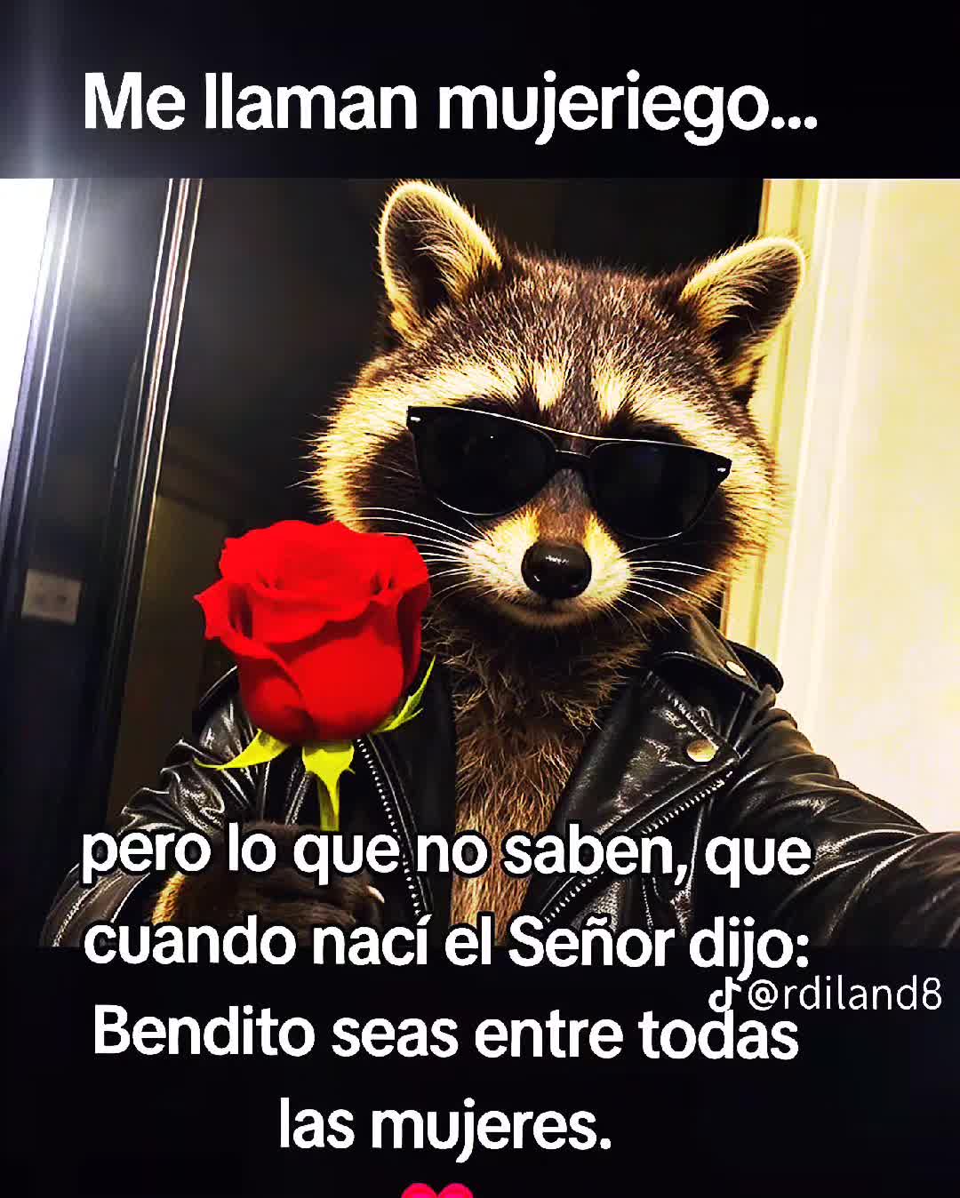 @👑🪽ЄL🦝M@P@CHЄ