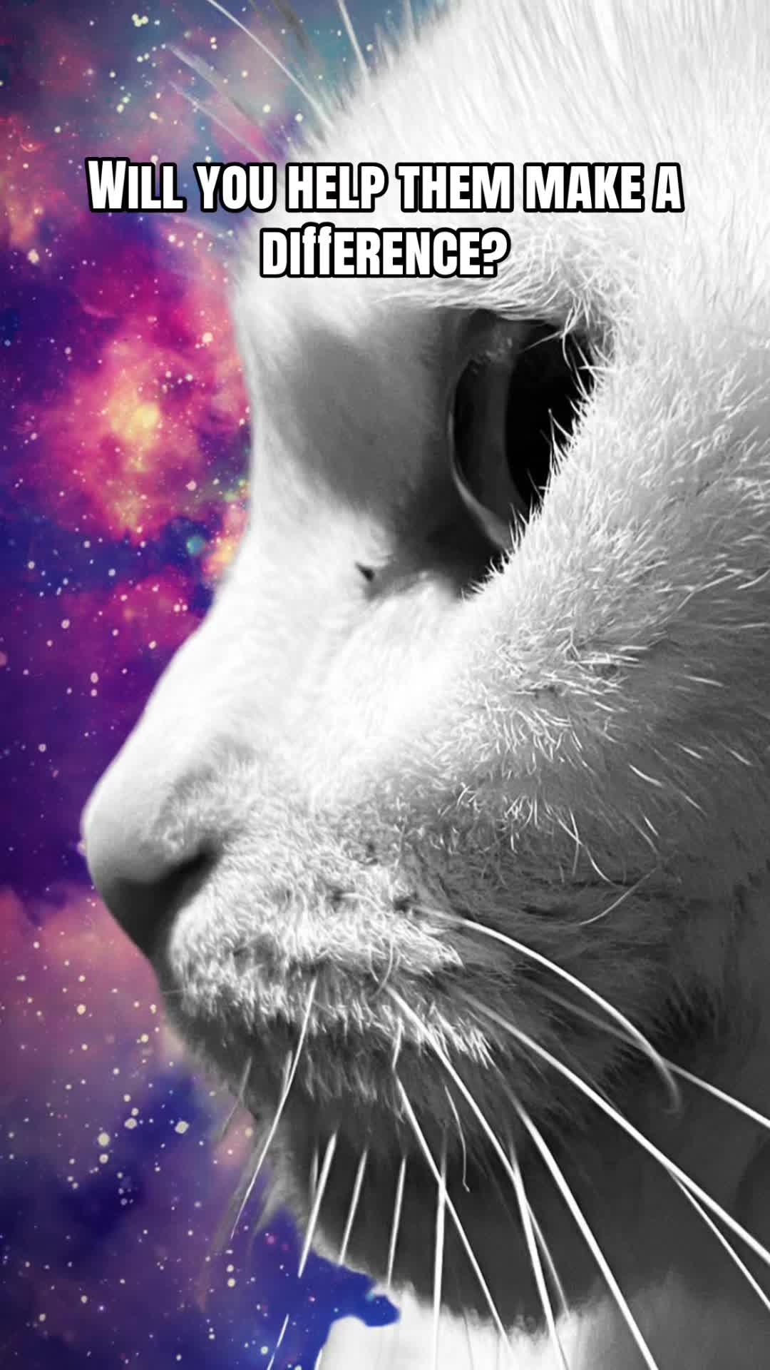 @MoonMission🌔💫