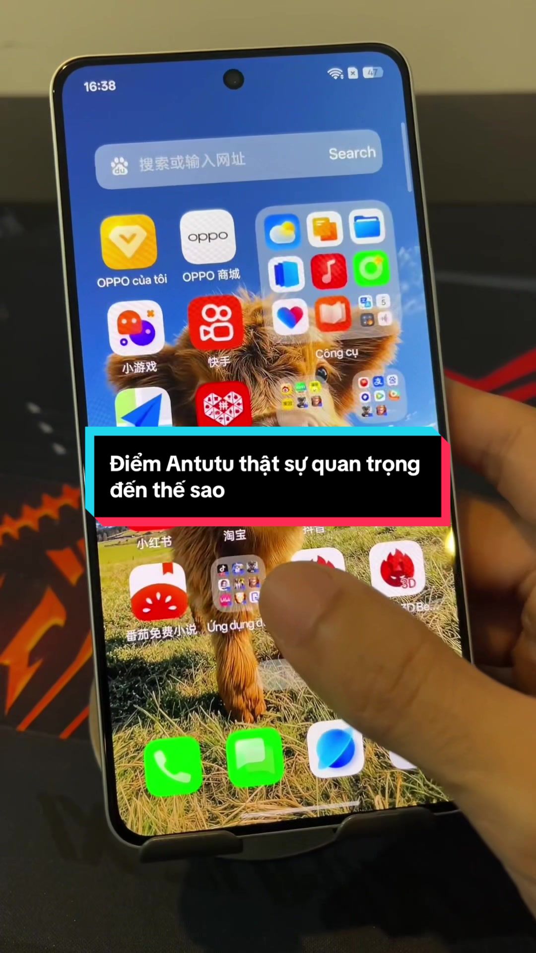@maytinhbanghaiphong