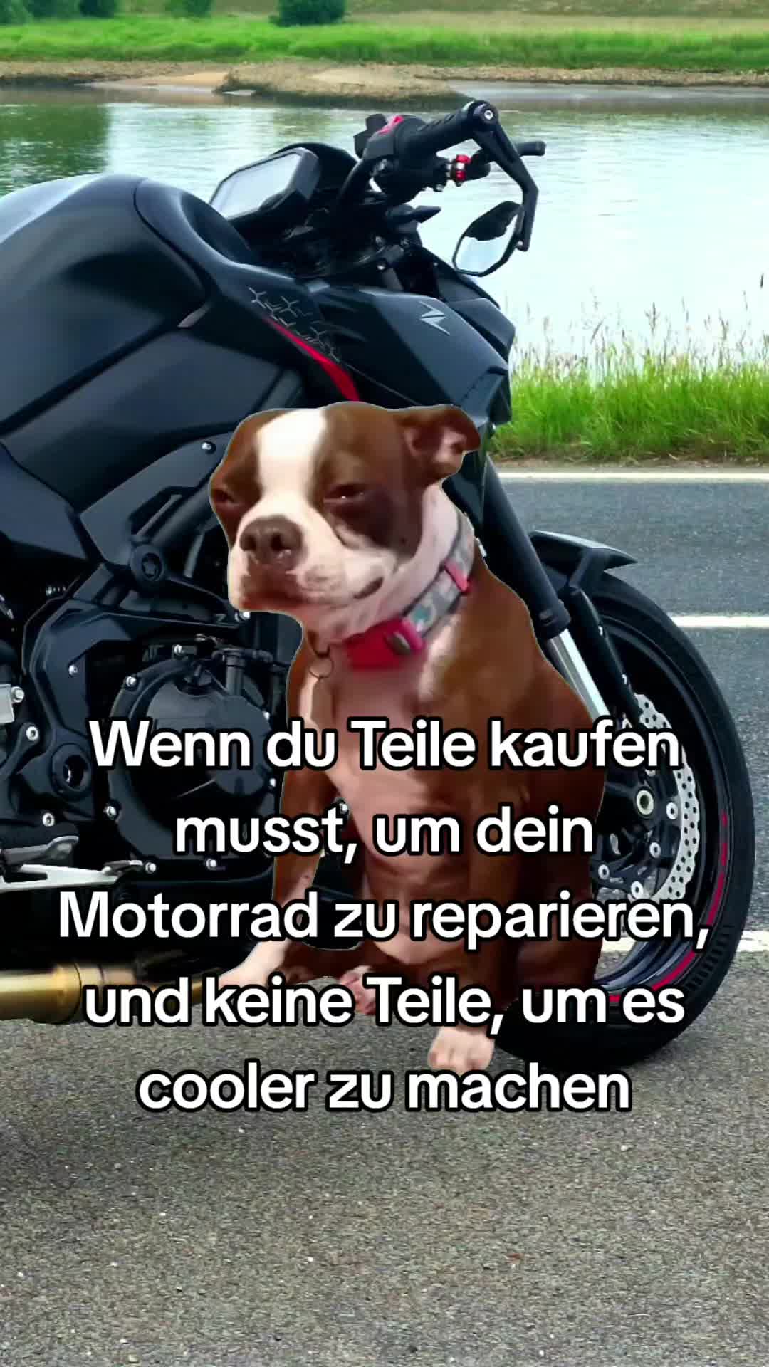 @StreetStyle