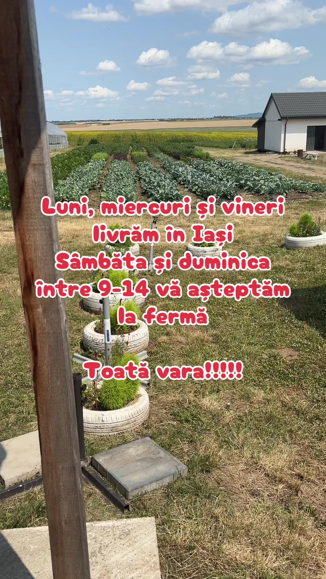 @Clement Marcu