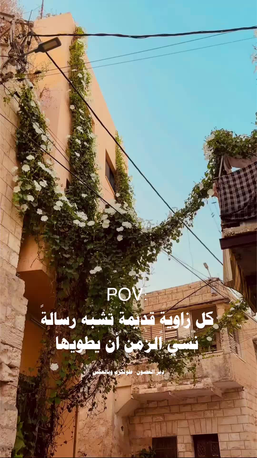 @𝑩𝑨𝑵𝑨𓂆.