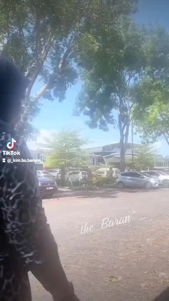 @_^the_Baran^_