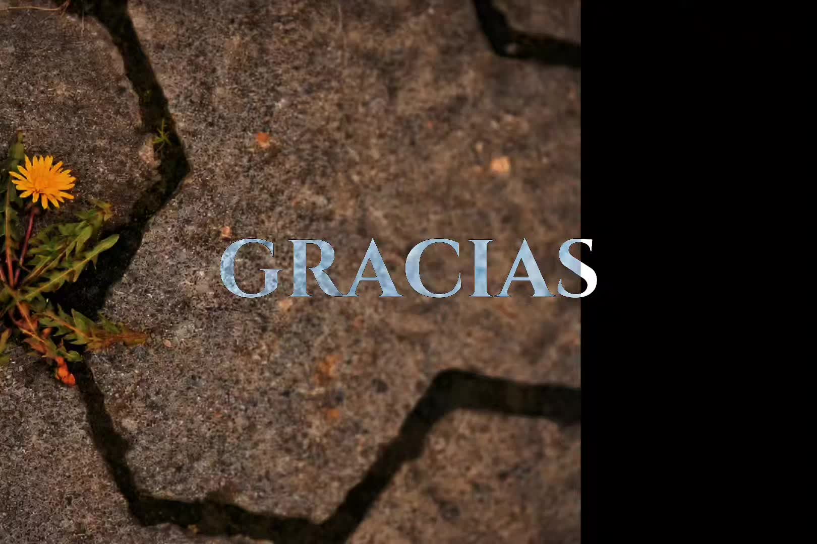 @𝗔𝘂𝗿𝗮 𝗔𝗲𝘀𝘁𝗵𝗲𝘁𝗶𝗰