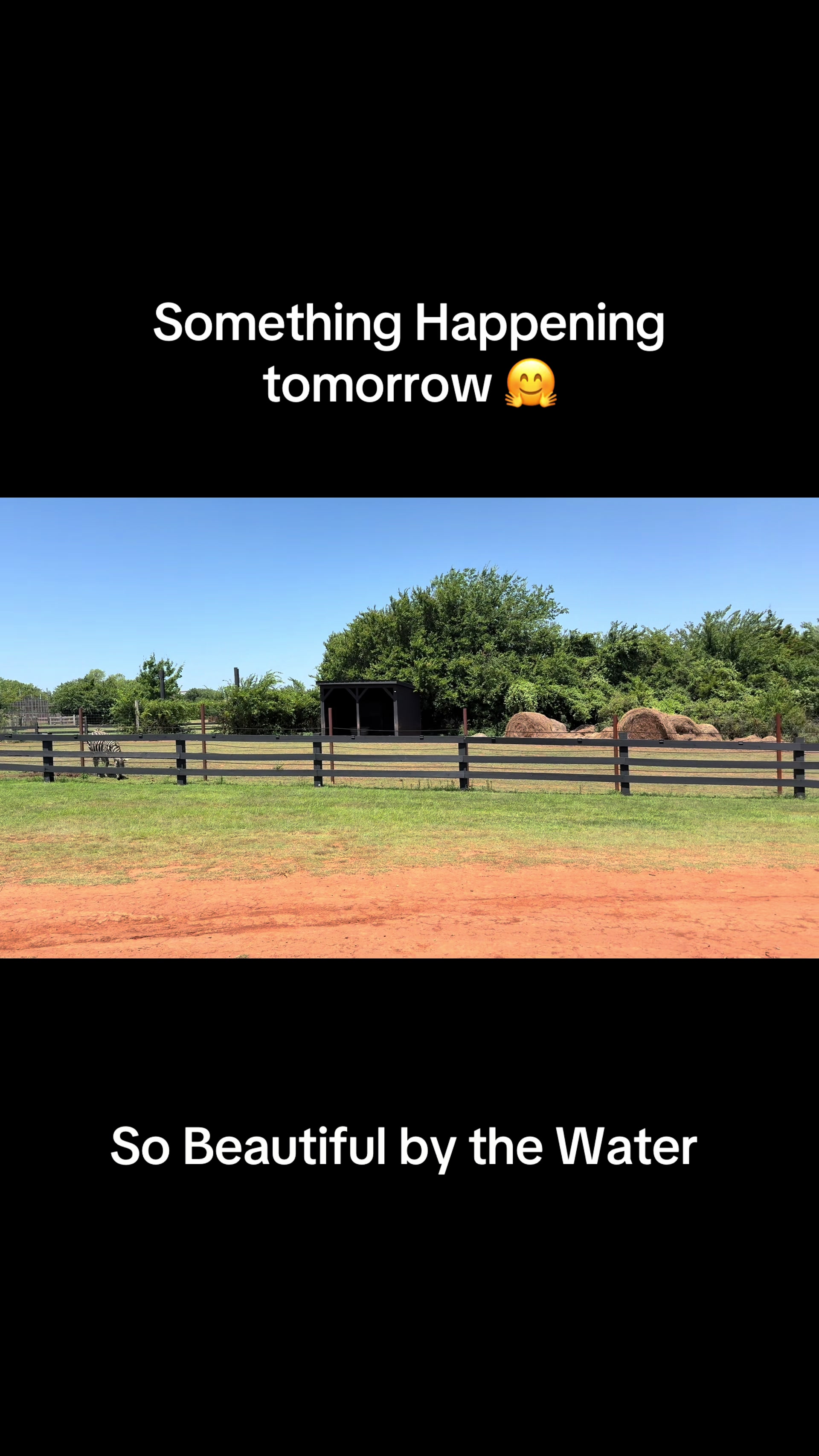 @Tigersafari
