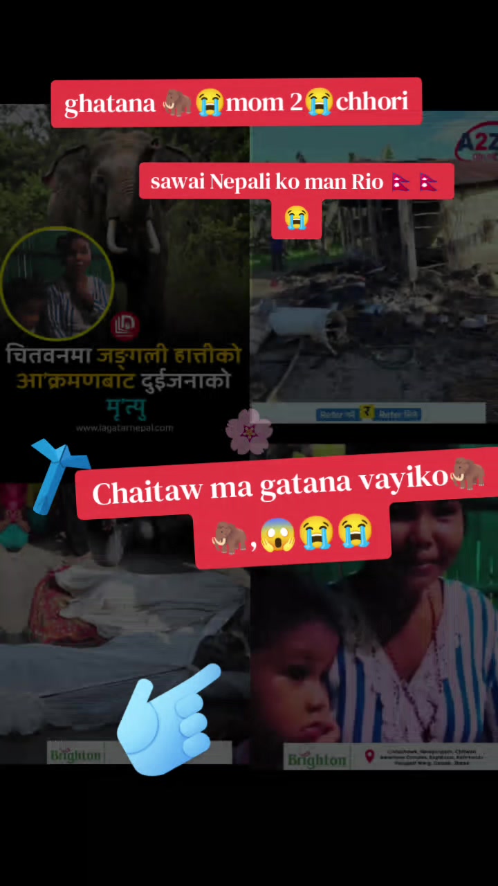 @kancha kancha