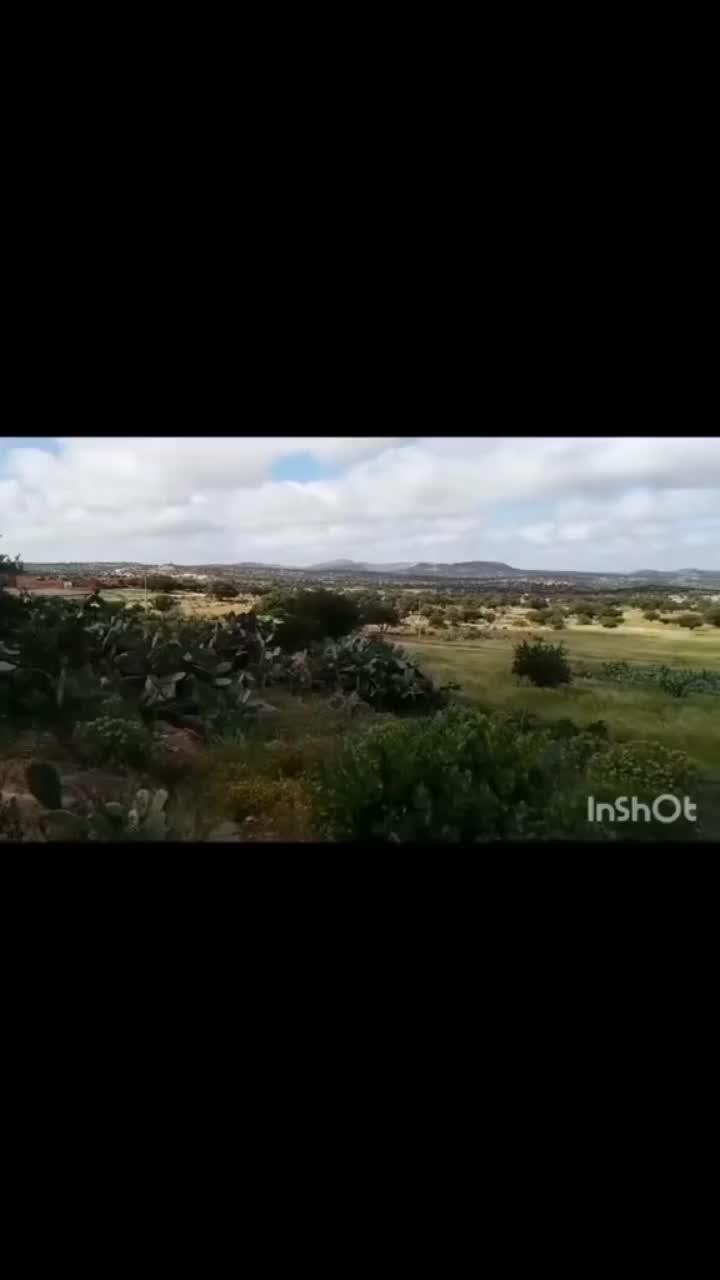 @mohamed.barcelona0