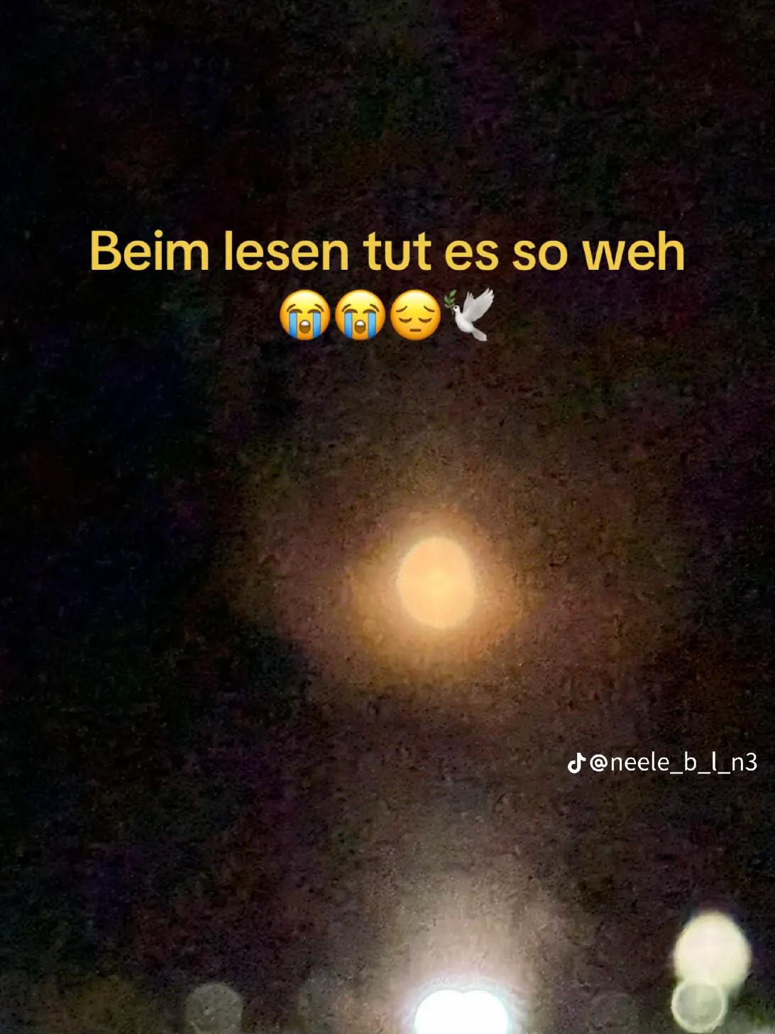 @kleiner Kampfzwerg 🤭❤️