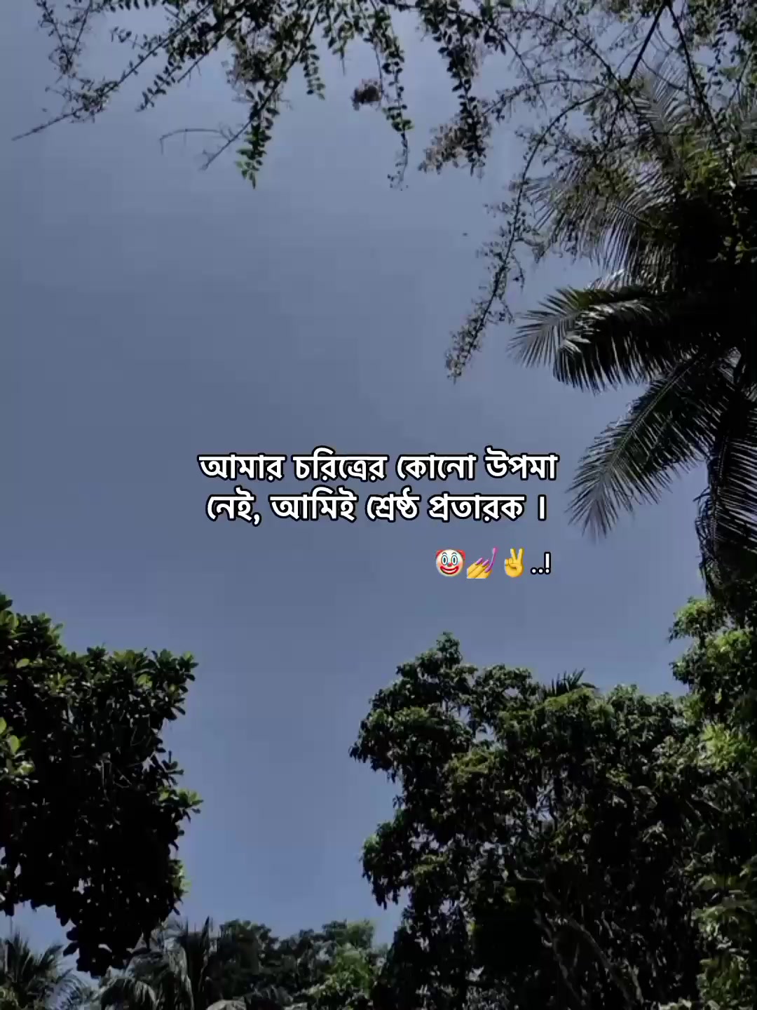 @⁷𝐇𝐚𝐦𝐢𝐝𝐚◡🧃