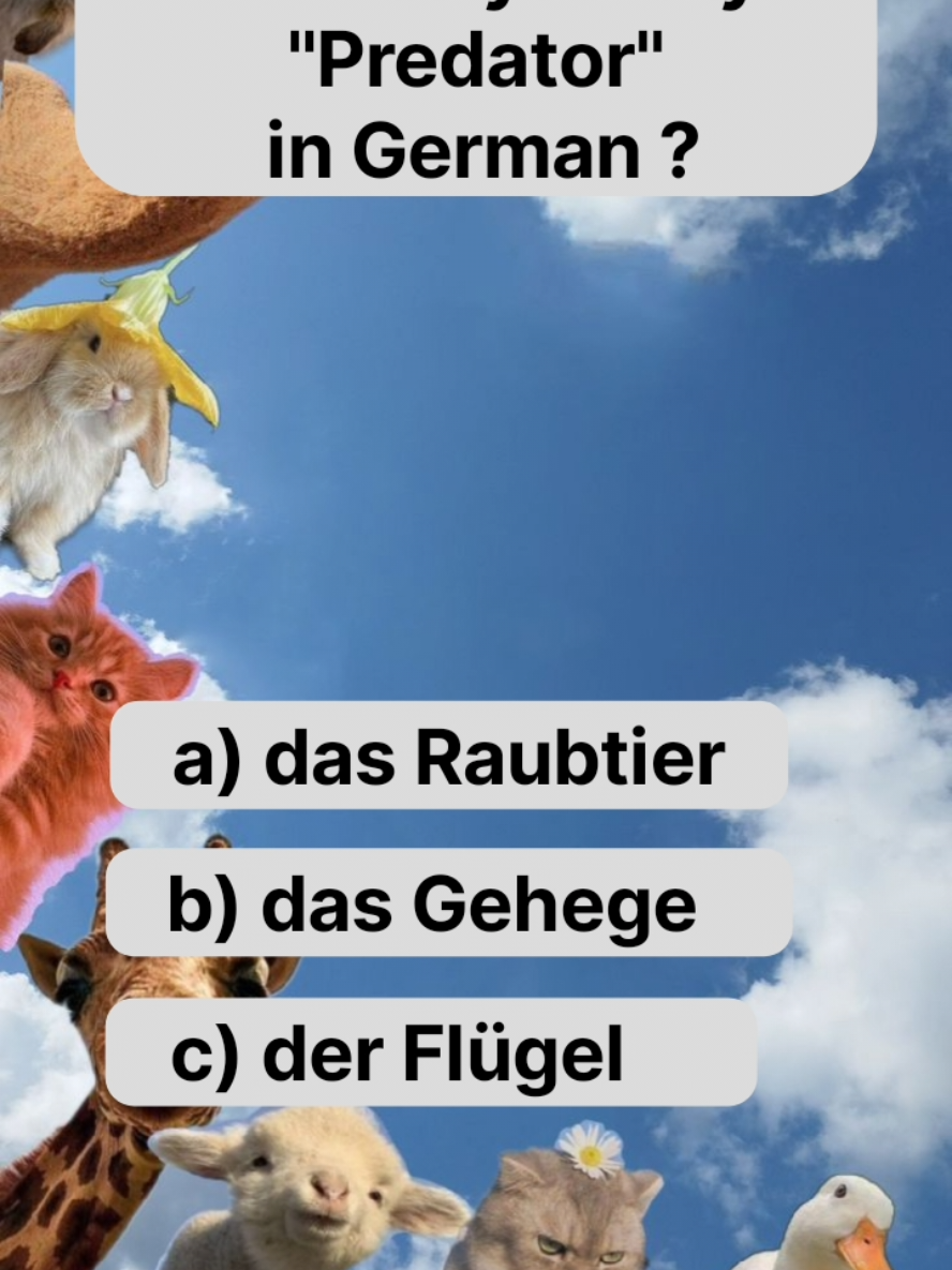 @GermanEnglish