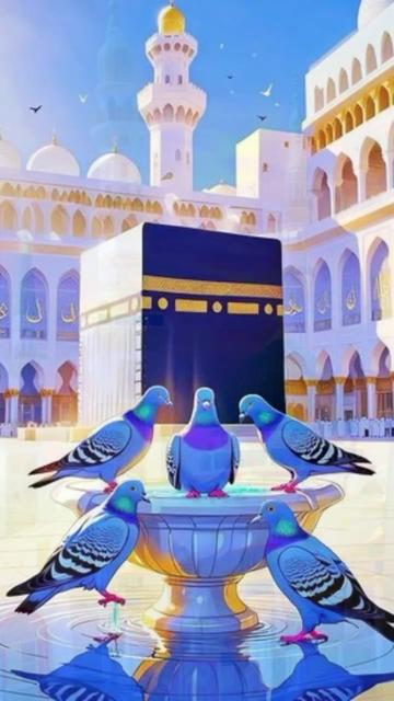 @Asif Bilal Mbilal